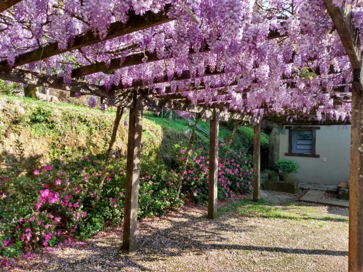 Apartamentos Aromas De Gramado - Bairro Centro Eksteriør billede