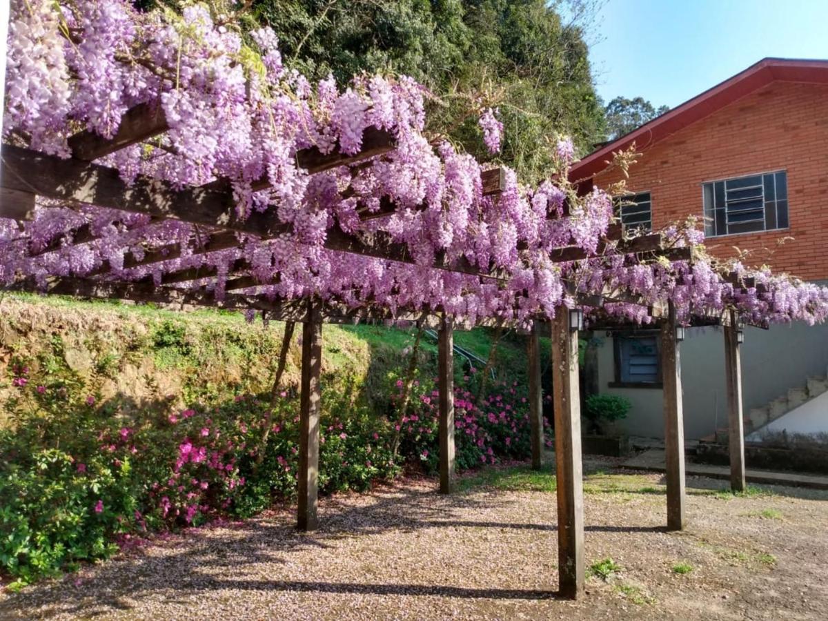 Apartamentos Aromas De Gramado - Bairro Centro Eksteriør billede